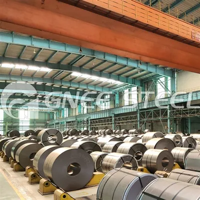 Clientul nostru din Bangladesh a vizitat atelierul nostru de bobine laminate ...
